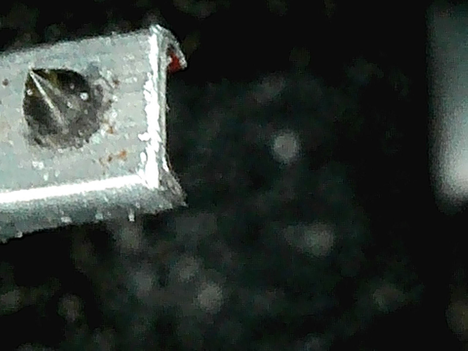 [Bild: MikroMik10.jpg]